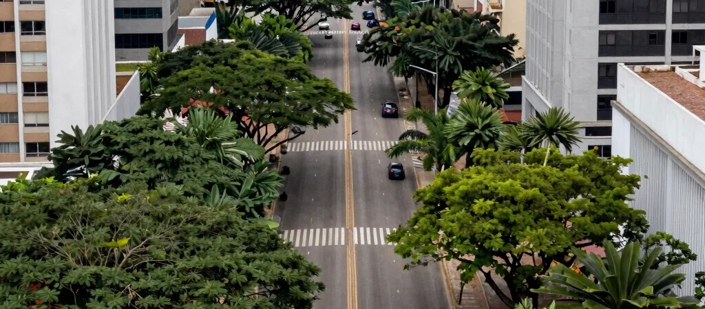 O Desafio da Infraestrutura Humana nas Grandes Metrópoles