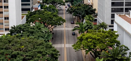O Desafio da Infraestrutura Humana nas Grandes Metrópoles